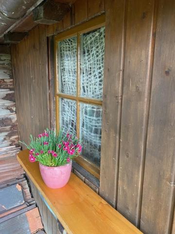 Ferienhaus Irene FDH Exterior foto